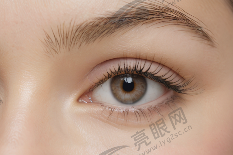 东莞<a style=