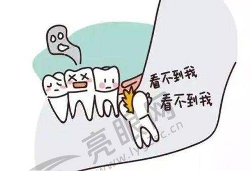 患者选择口腔机构的考量因素